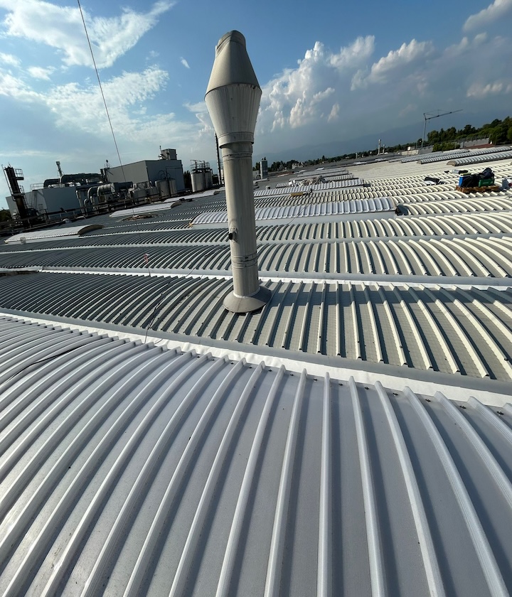 WhatsApp Image 2025-03-19 at 17.09.08 (1)