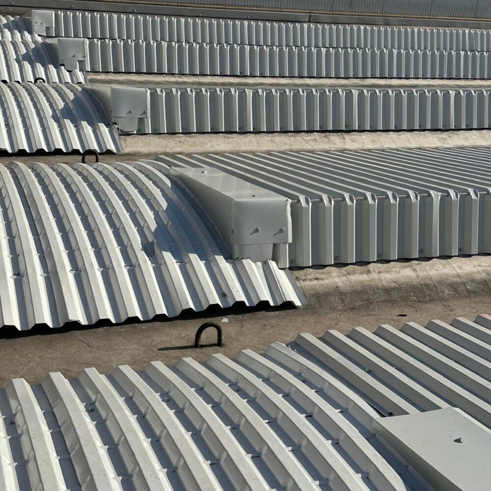 WhatsApp Image 2025-03-19 at 17.09.11 (5)