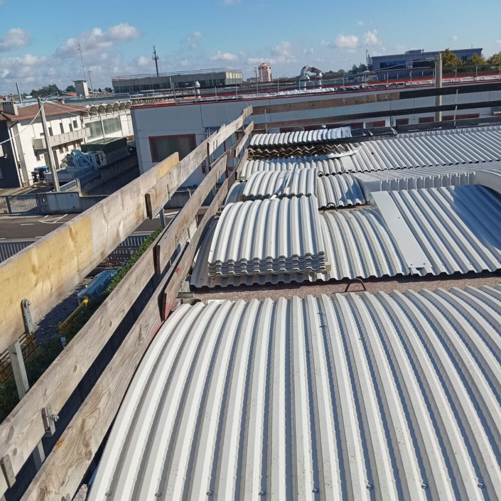 WhatsApp Image 2025-03-19 at 17.09.32 (4)