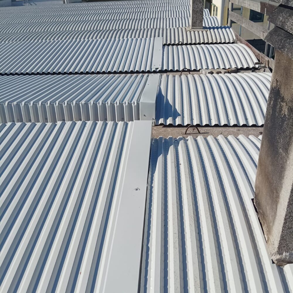 WhatsApp Image 2025-03-19 at 17.09.33