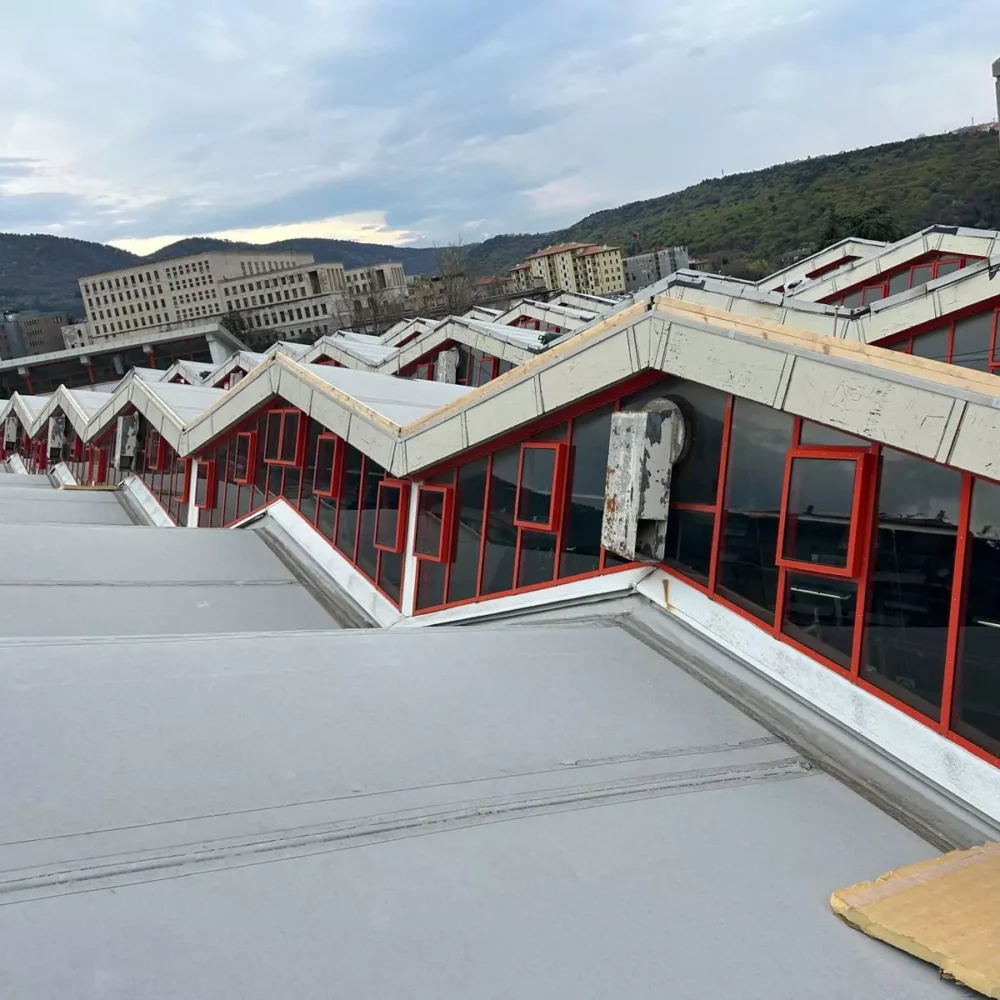 immagine-whatsapp-2025-03-27-ore-113959-17c2059a-684845ed340f4