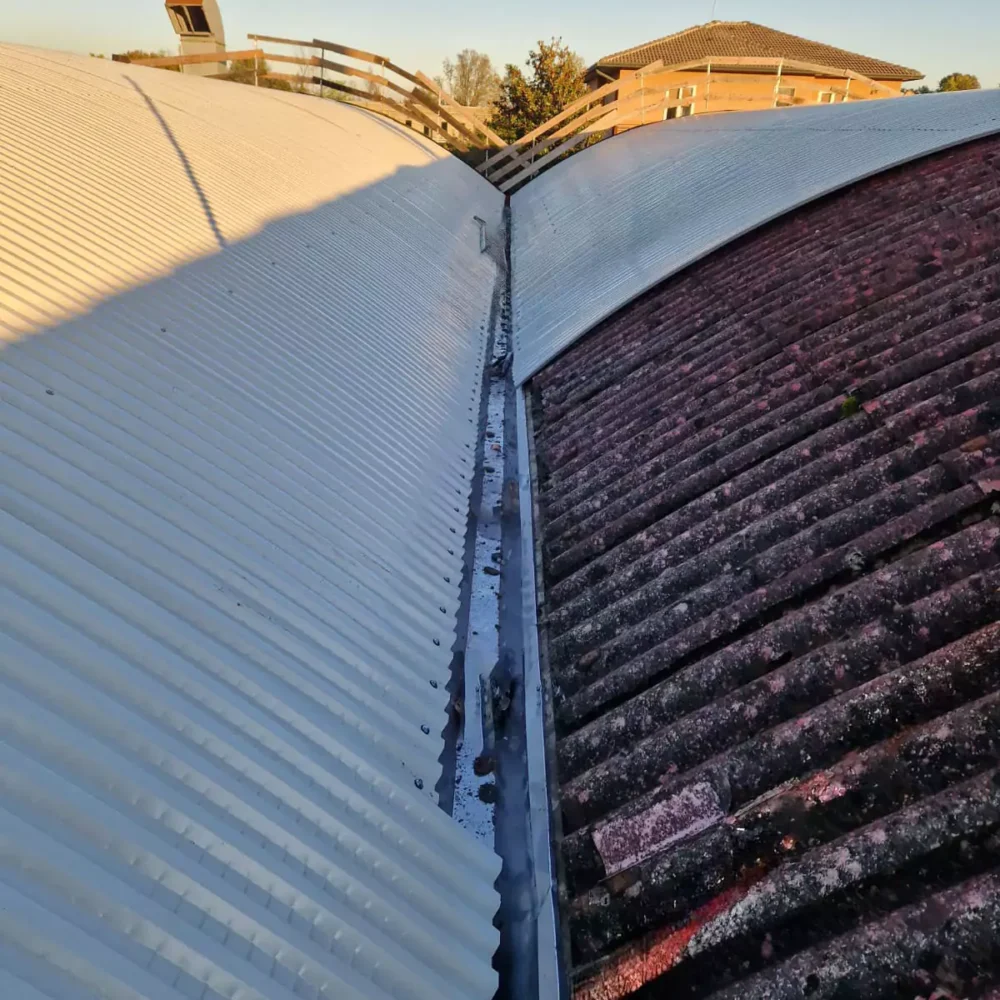 whatsapp-image-2025-03-19-at-170933-7-6847e654f1c77