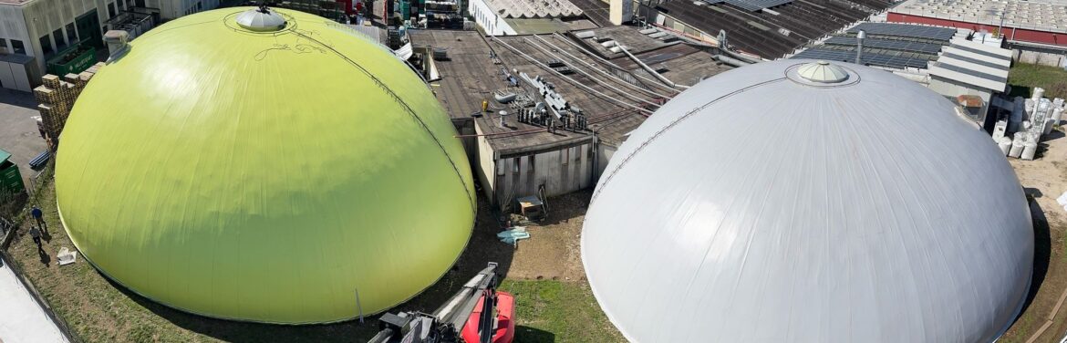 WhatsApp Image 2025-03-19 at 17.30.10