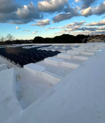 whatsapp-image-2025-03-19-at-084319-4-68664bb0524e0 (1)