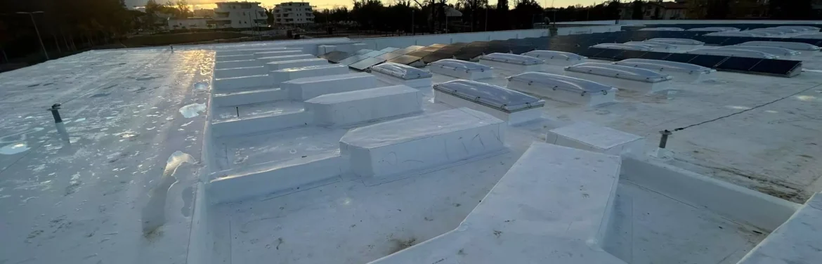 whatsapp-image-2025-03-19-at-084320-3-68664bc3eb04f