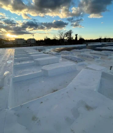 whatsapp-image-2025-03-19-at-084320-3-68664bc3eb04f