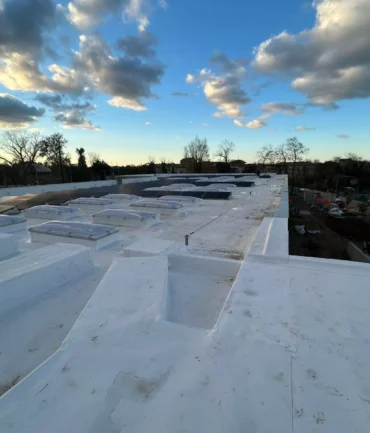 whatsapp-image-2025-03-19-at-084320-4-68664bc68a98a