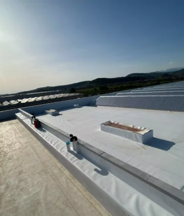 whatsapp-image-2025-03-19-at-170912-4-68664391aa0b8