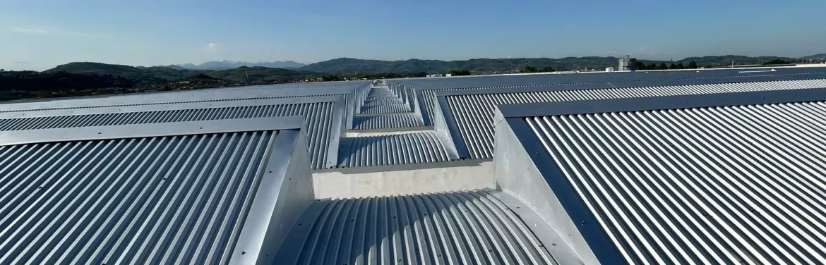 whatsapp-image-2025-03-19-at-170914-1-686643a1c21ab