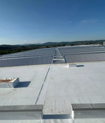 whatsapp-image-2025-03-19-at-170914-2-686643a416435